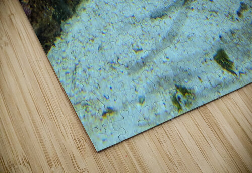 Yellow Eel Kelly Marie Johnson puzzle