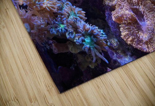 Aquarium Kelly Marie Johnson puzzle
