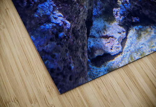 Colorful Fish Kelly Marie Johnson puzzle