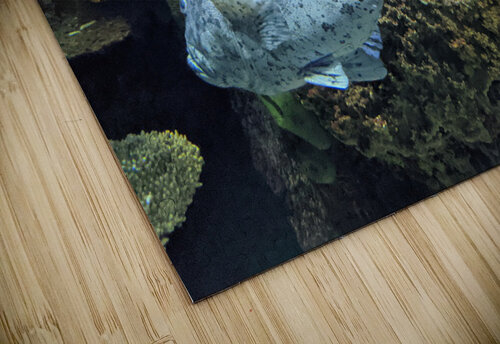 Colorful Fish Kelly Marie Johnson puzzle