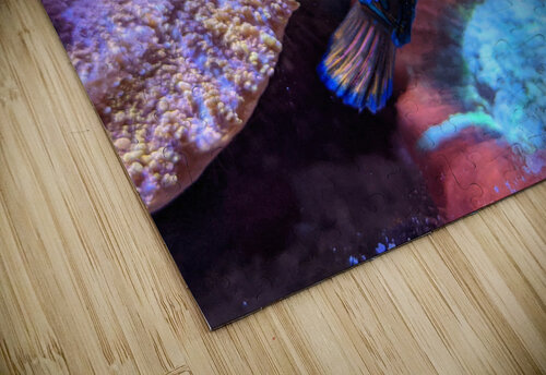 Blue Fish Kelly Marie Johnson puzzle