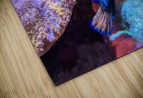 Blue Fish Kelly Marie Johnson puzzle