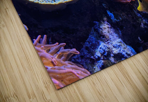 Colorful Fish Kelly Marie Johnson puzzle