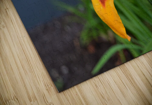 Yellow Flower Kelly Marie Johnson puzzle