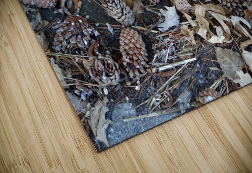 Soil Products Kelly Marie Johnson puzzle