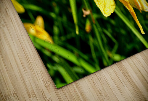 Yellow Flowers Kelly Marie Johnson puzzle