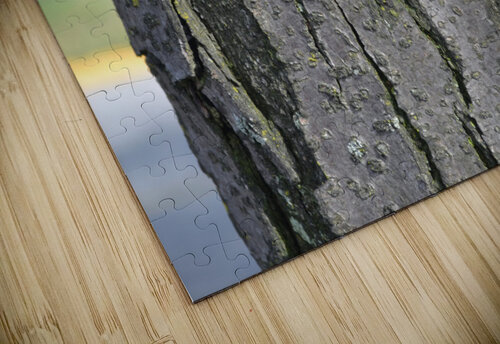 DSC 0053 Kelly Marie Johnson puzzle