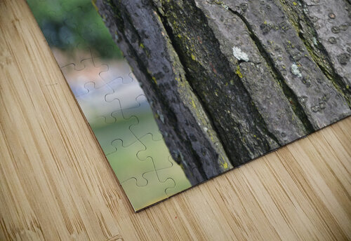 DSC 0050 Kelly Marie Johnson puzzle