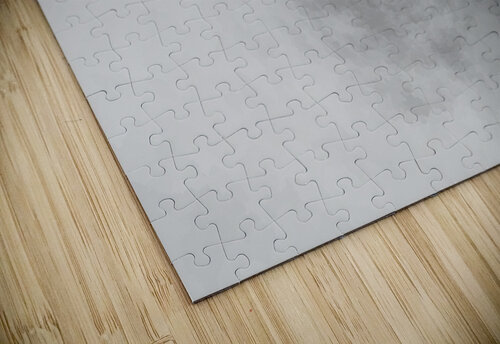 ILLUSION Kelly Marie Johnson puzzle