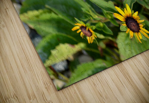 DSC 0200 Kelly Marie Johnson puzzle