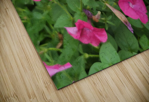 20220701 173231 Kelly Marie Johnson puzzle