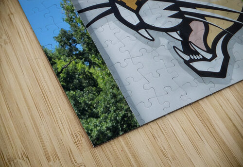 20220628 154056 Kelly Marie Johnson puzzle