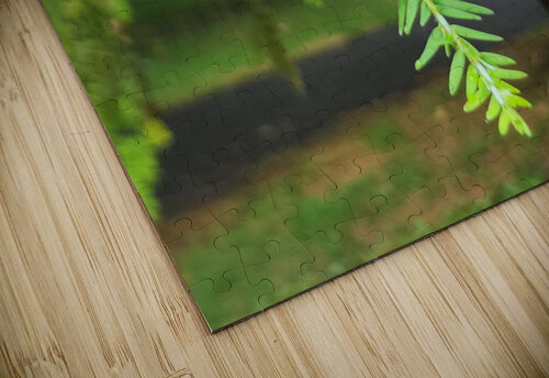 20220701 172524 Kelly Marie Johnson puzzle