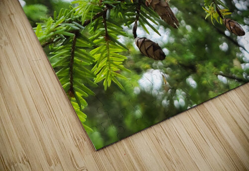 20220701 172621 Kelly Marie Johnson puzzle