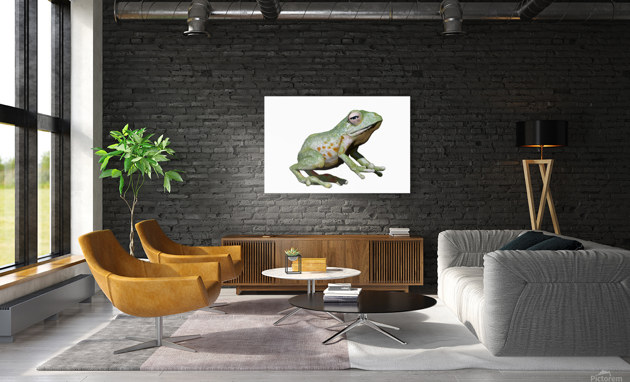 Greenfrog Reproduction