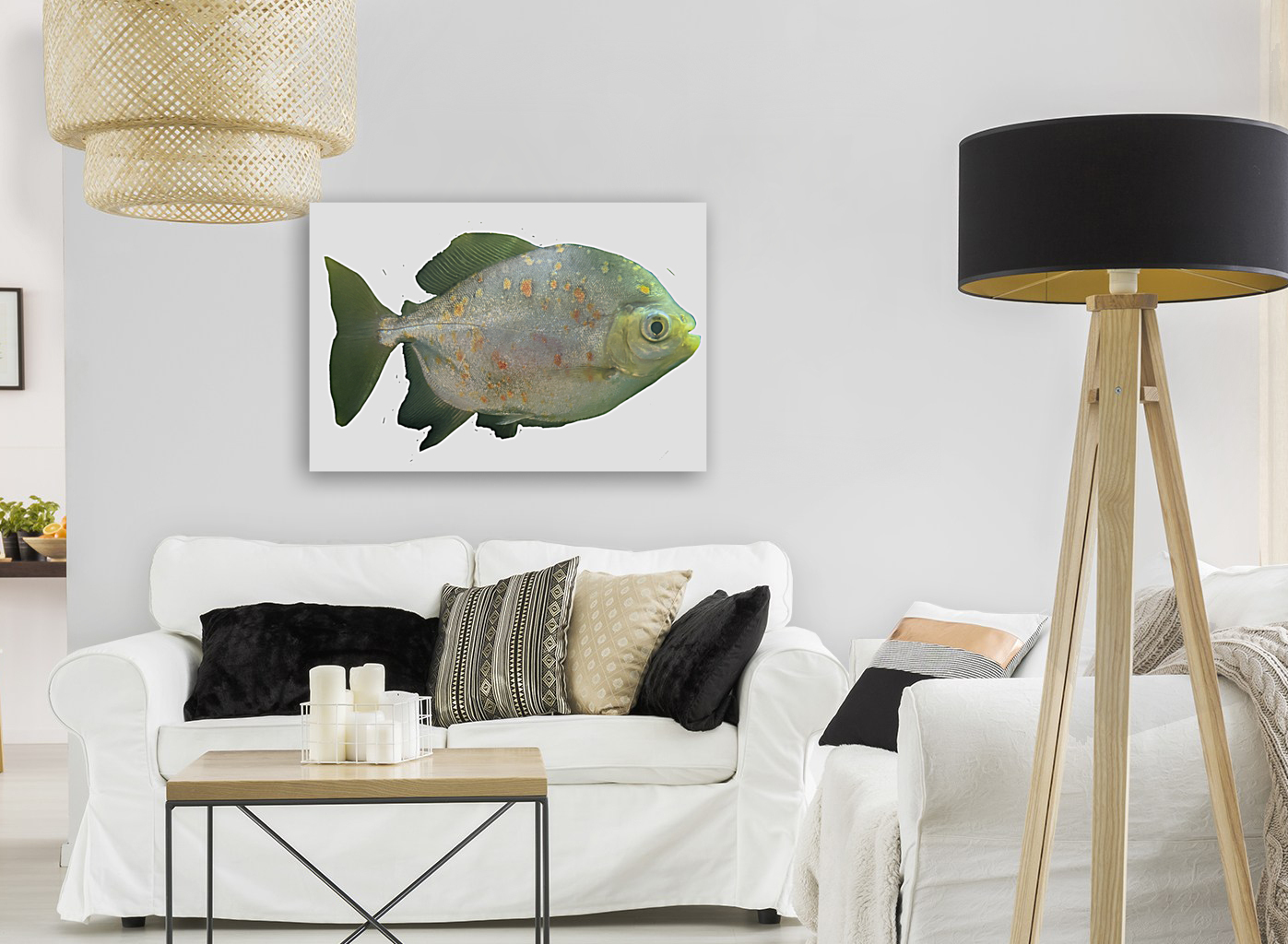 GreenFishwithSpecs Reproduction