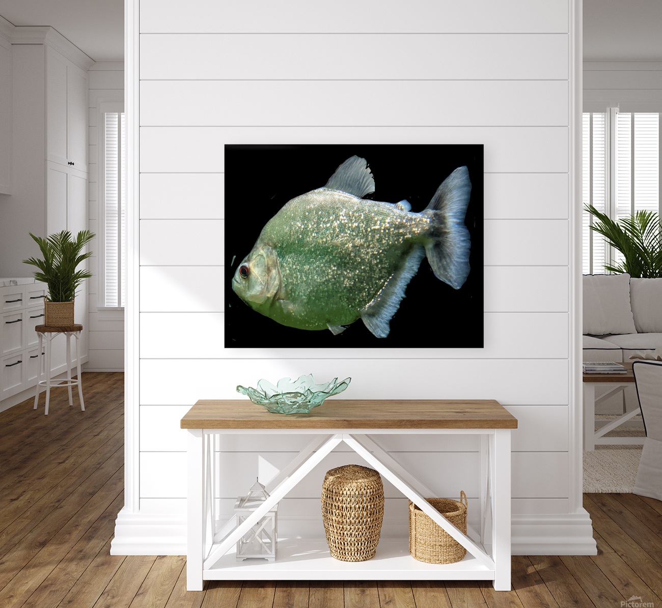 GlitterGreenFish Reproduction