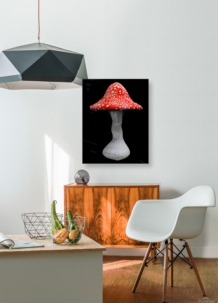 Mushroom2 Reproduction