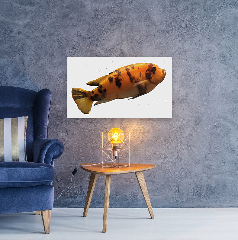 OrangeFish2 Reproduction