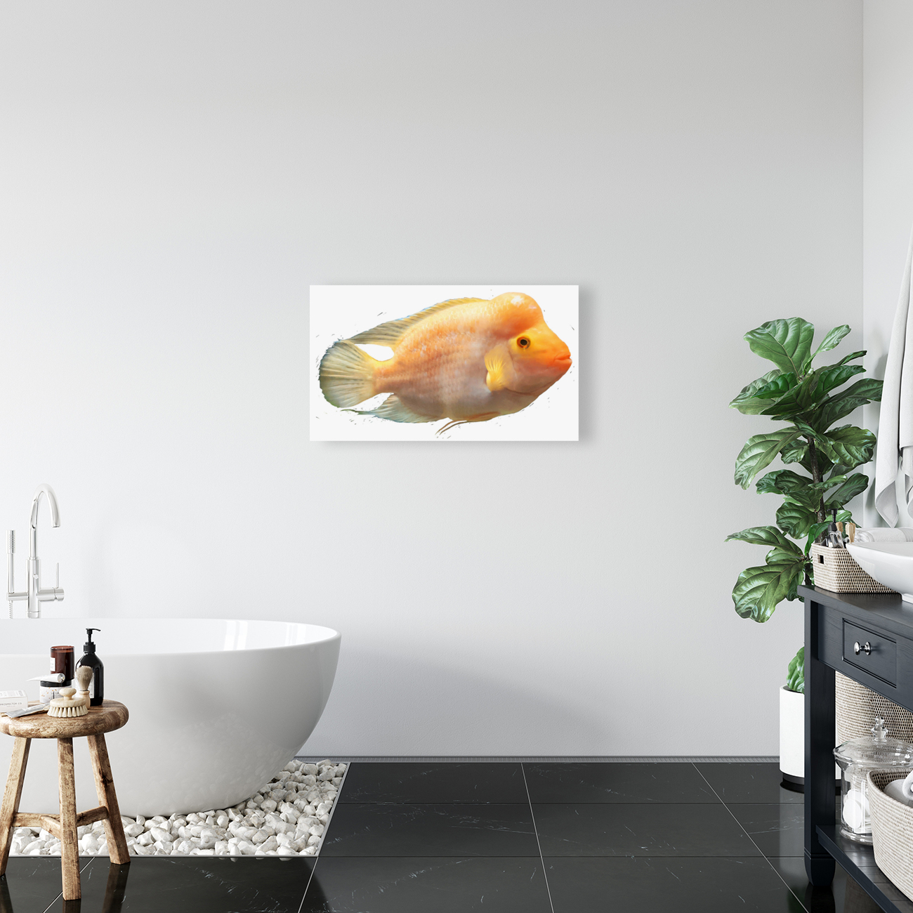 OrangeFishs Reproduction