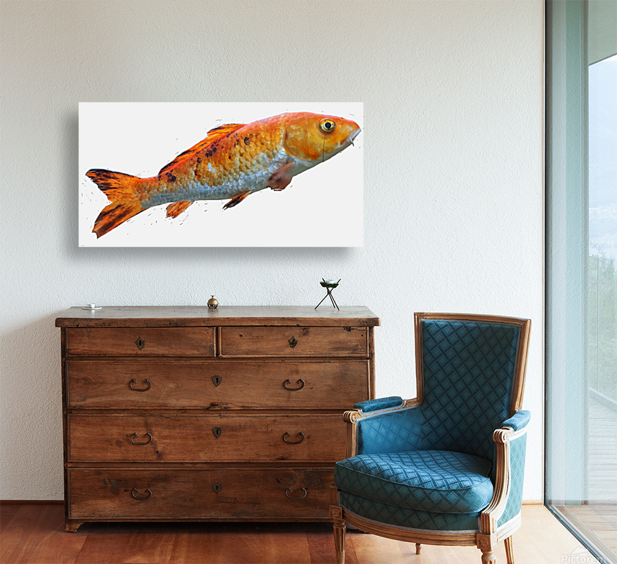 OrangeFish Reproduction
