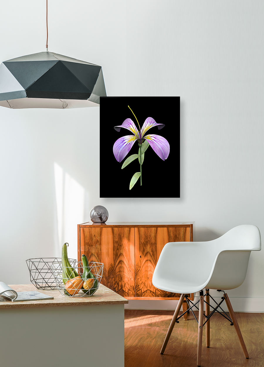 PurpleFlower Reproduction