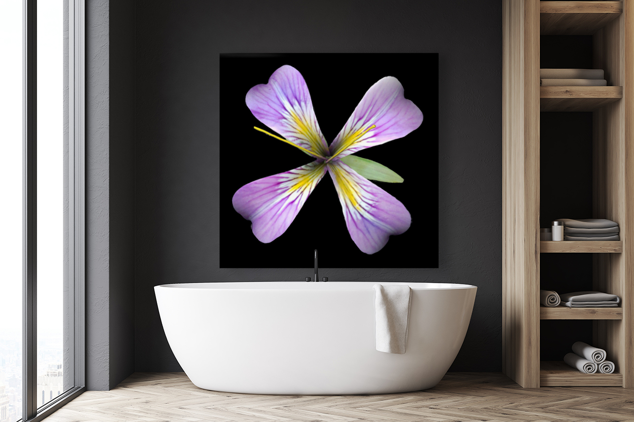 PurpleFlower3 Reproduction