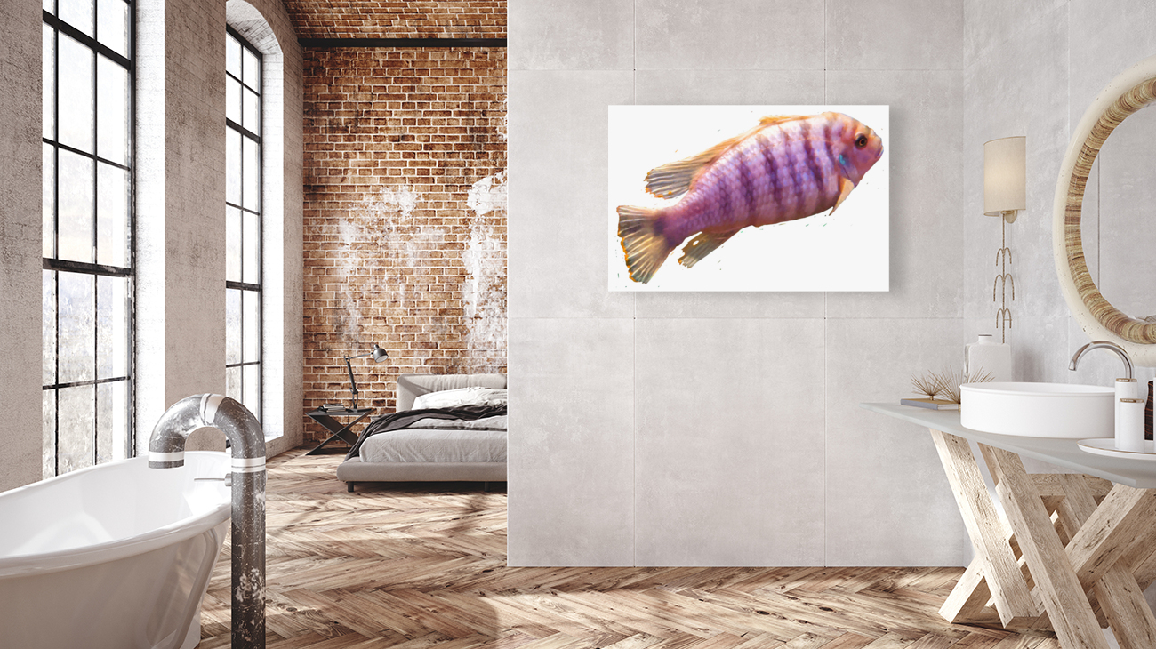 PurpleFish Reproduction