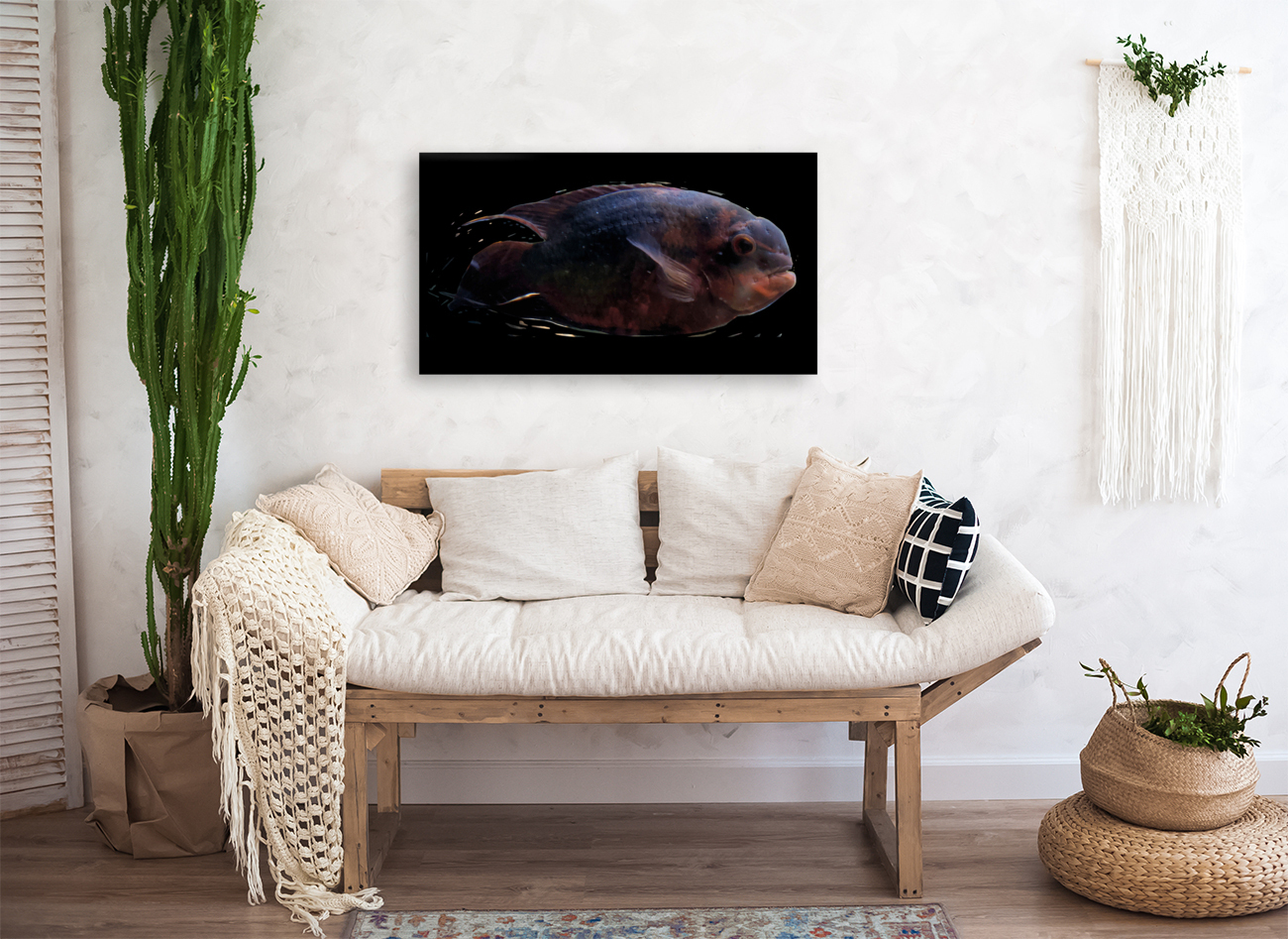 RedBlackFish Reproduction