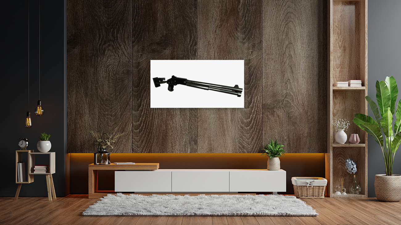 Shotgun2 Reproduction