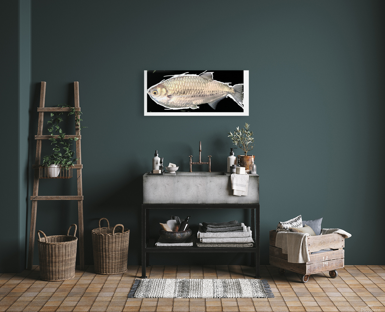 SilverFish Reproduction