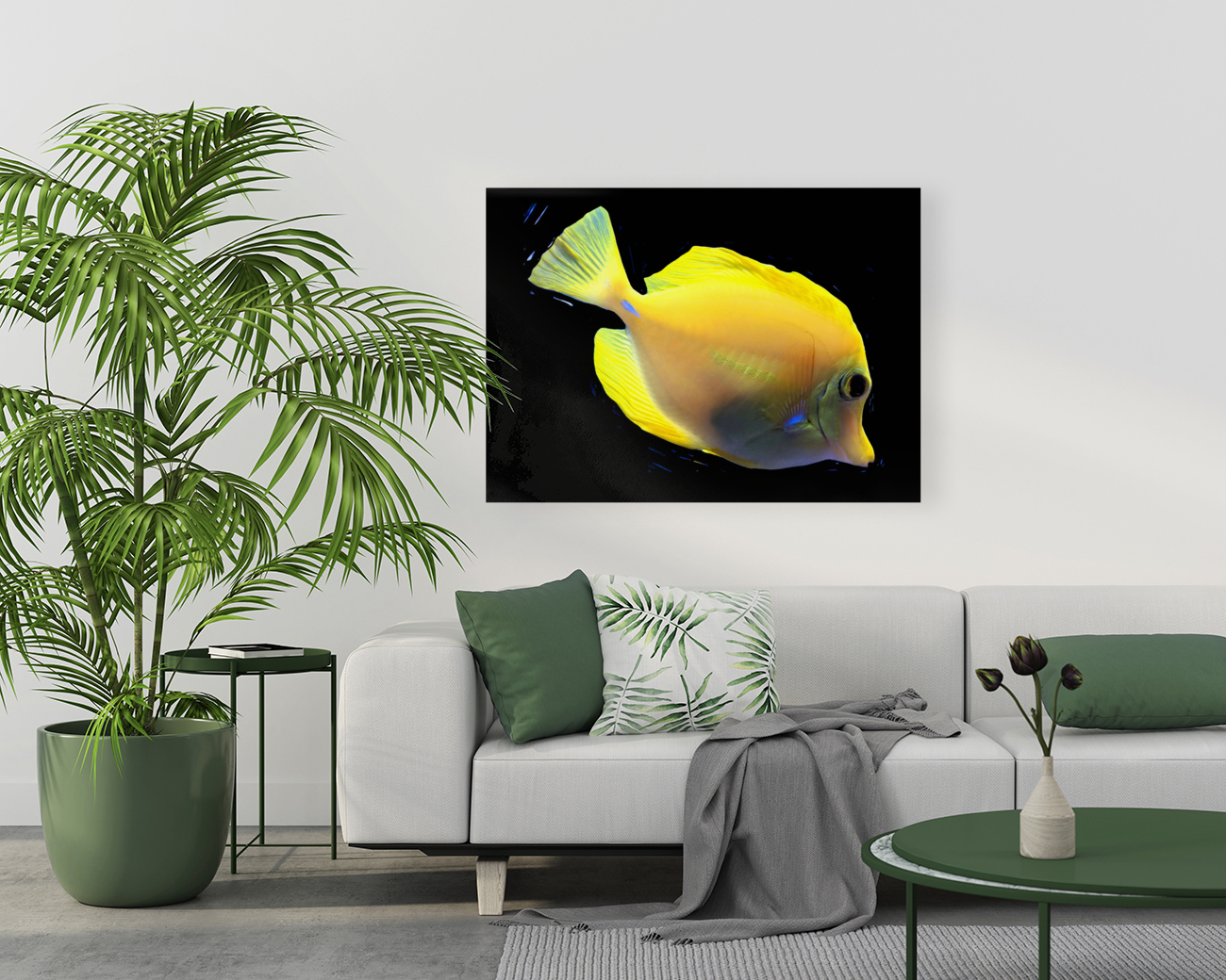 YellowFish Reproduction