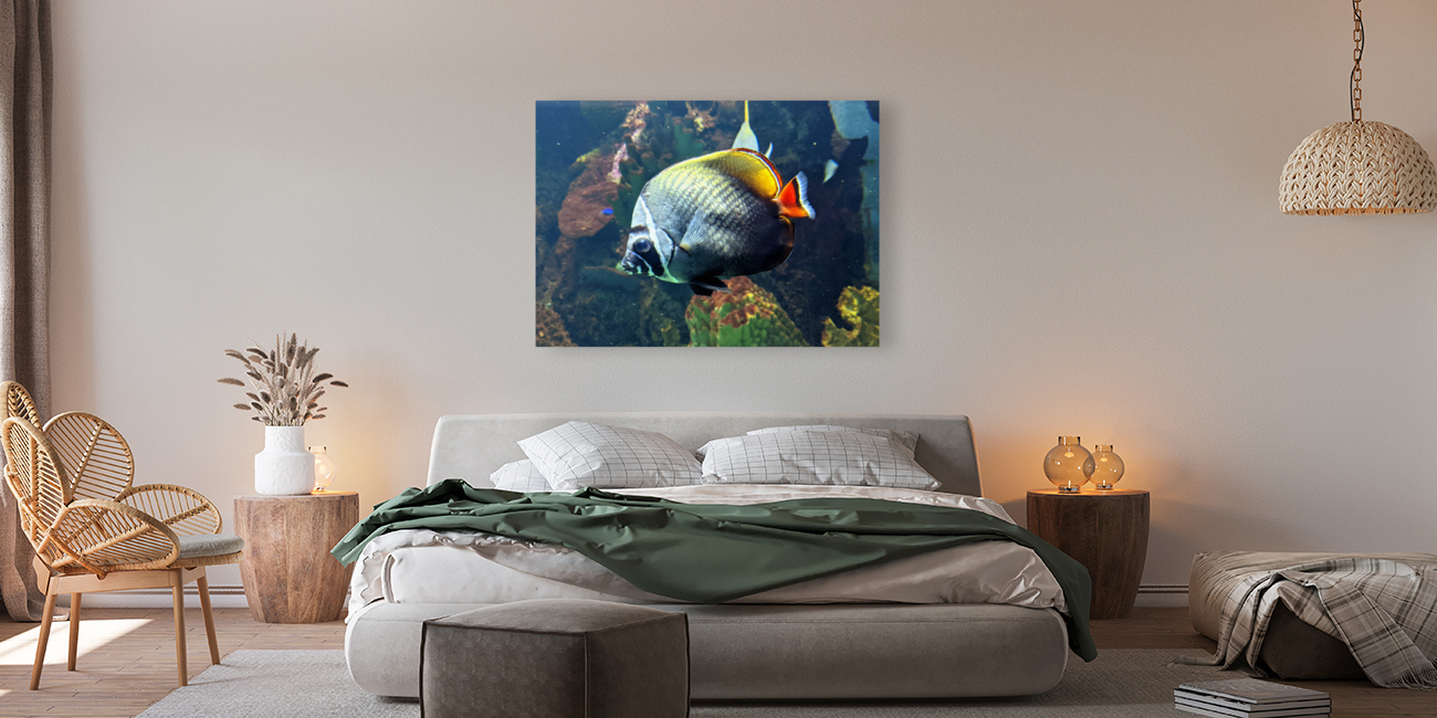 WhiteBlackFish Reproduction