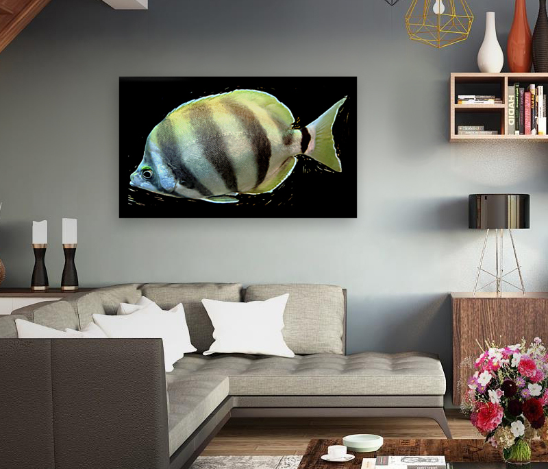 YellowandWhiteFish Reproduction