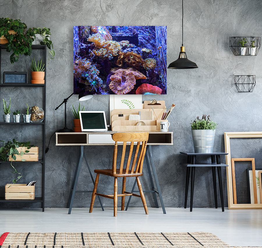 AquariumFishTank2 Reproduction
