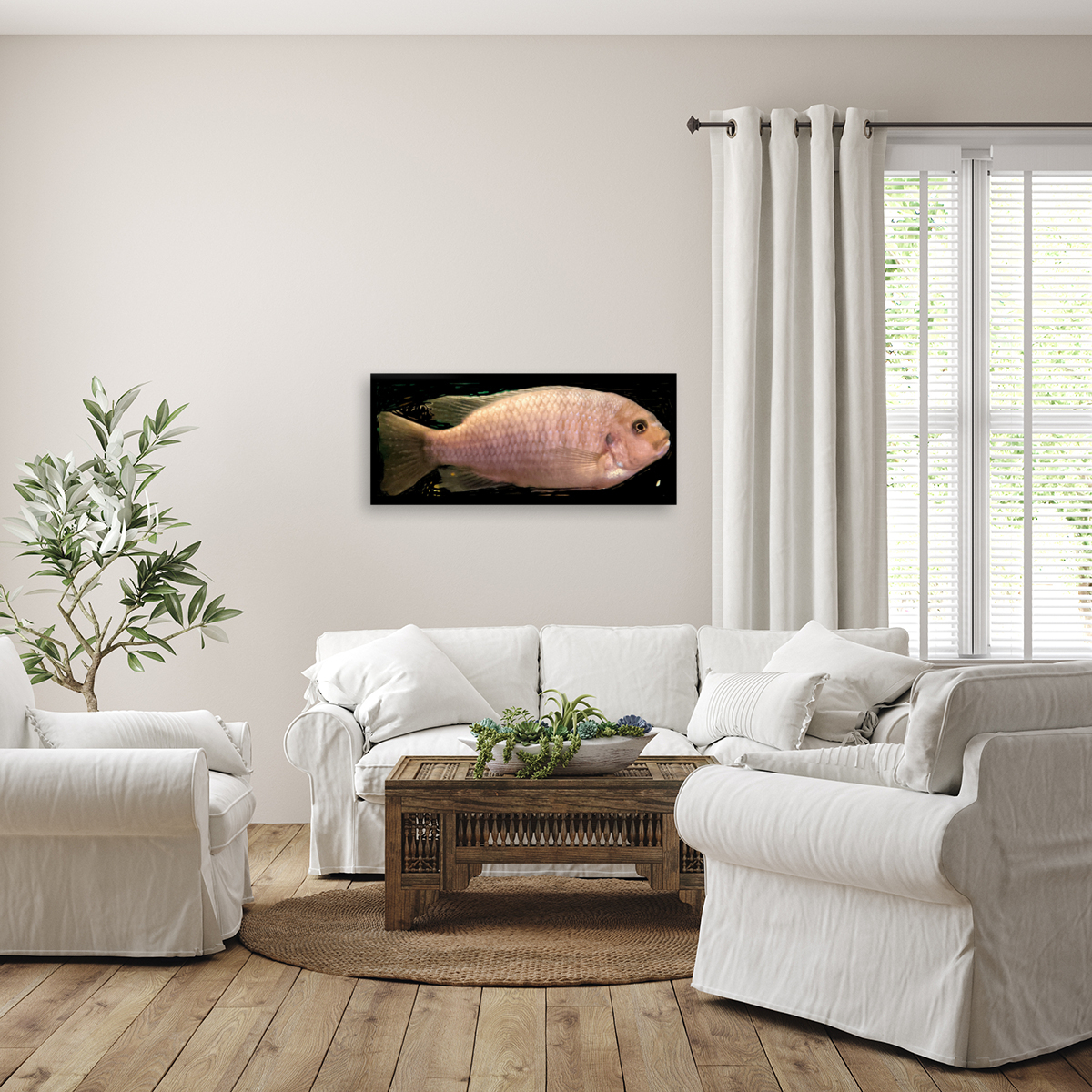 CreamPeachFish Reproduction