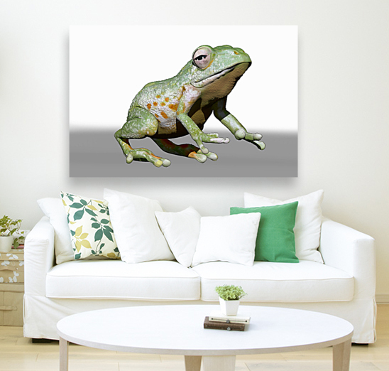 kelly johnson frog2 Reproduction
