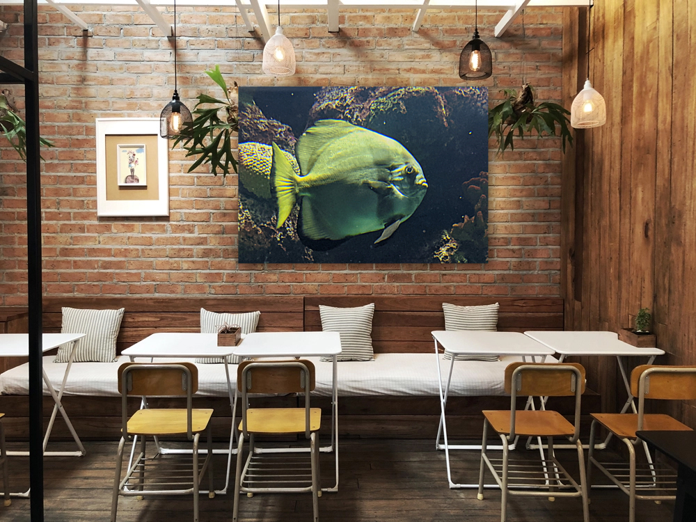 Fish Reproduction
