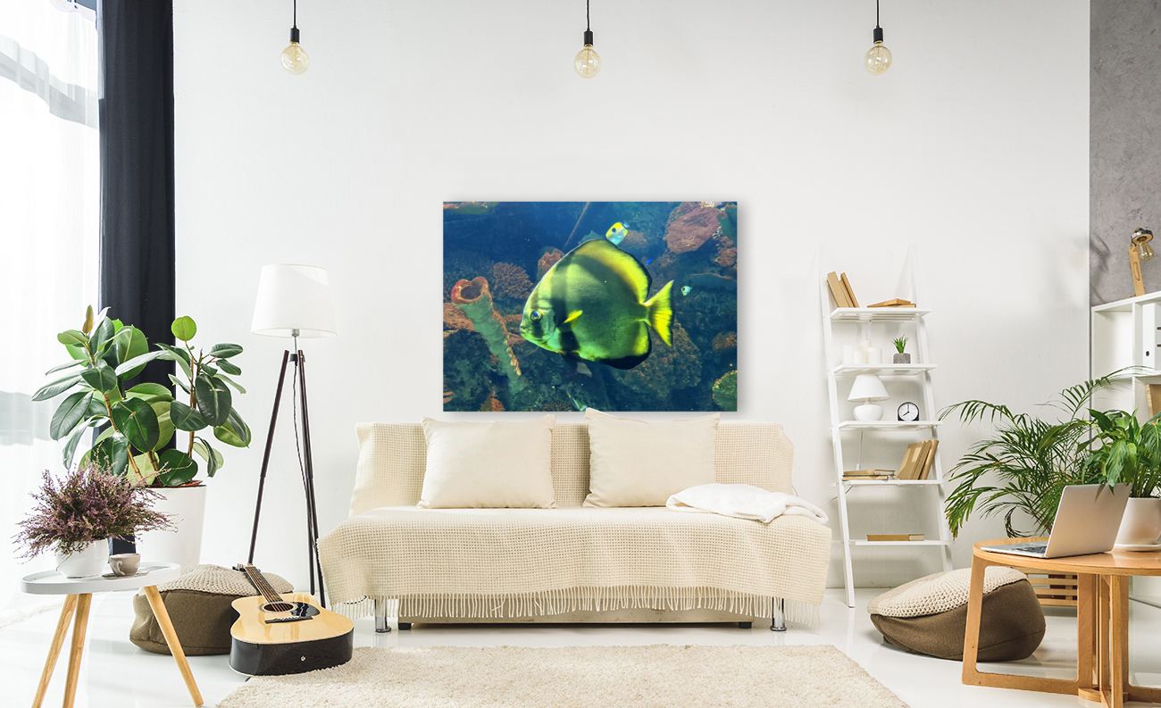 GreenFish Reproduction