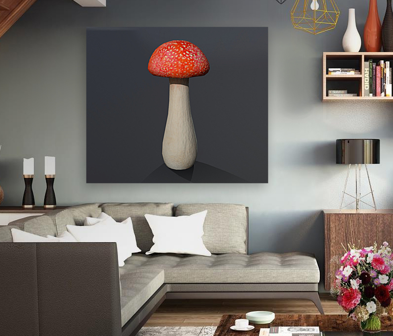 Mushroom1 Reproduction