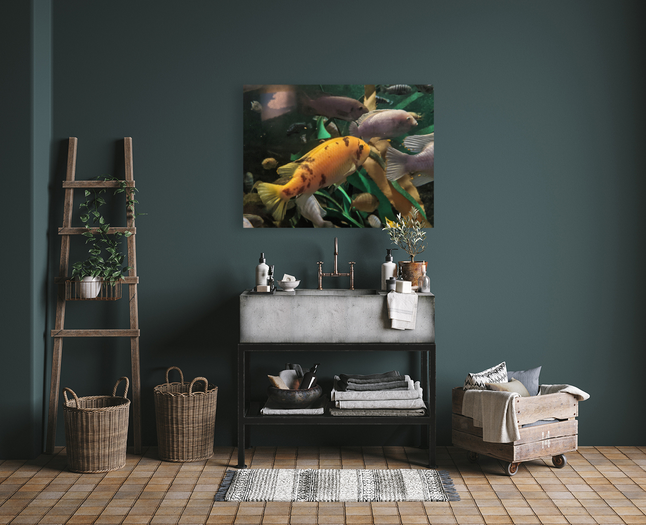 OrangeFish Reproduction