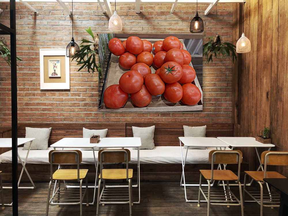 Tomato Reproduction