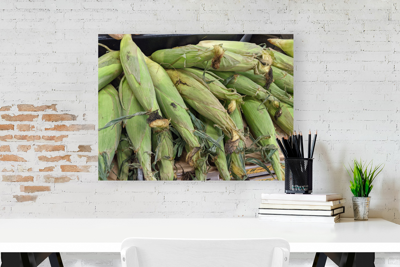 Corn Reproduction