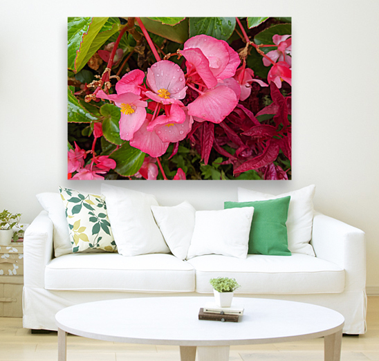 PinkFlowers Reproduction
