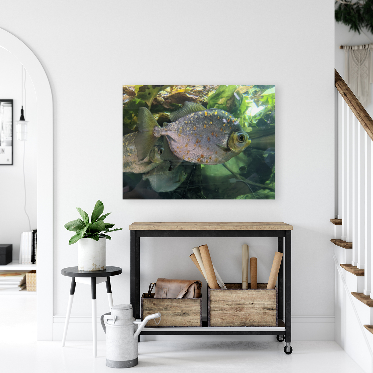 Colorful Fish Reproduction