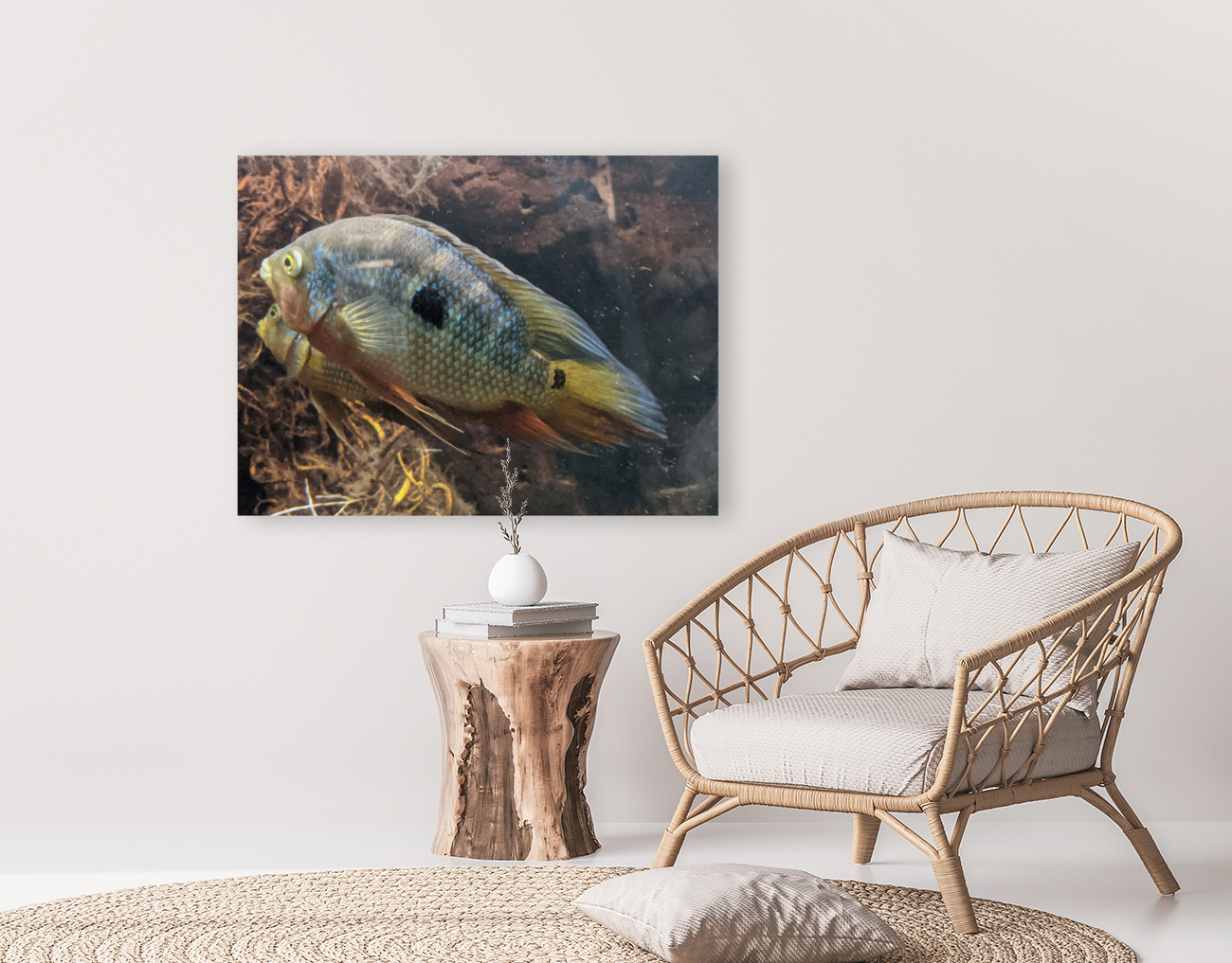 Colorful Fish Reproduction