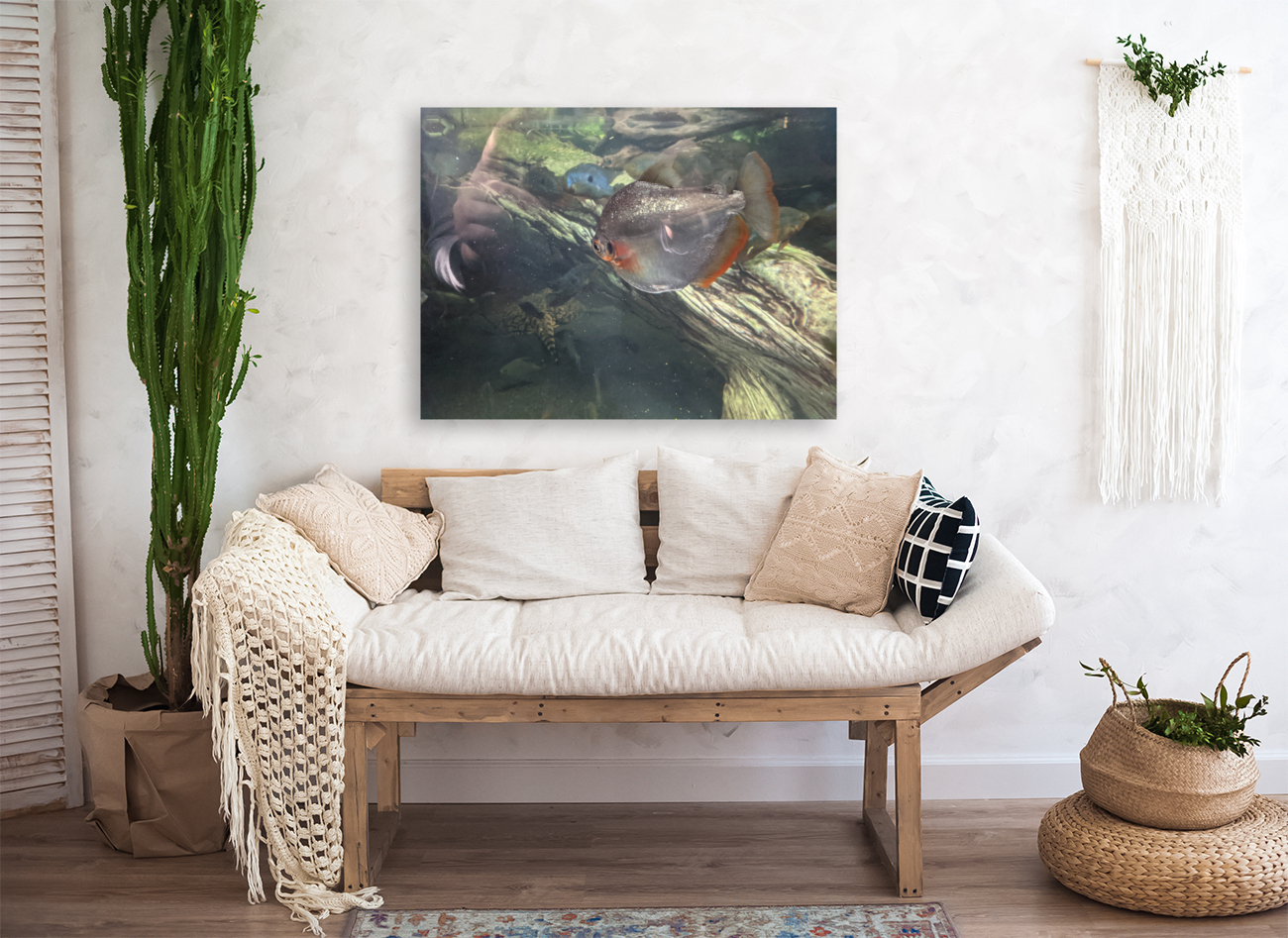Colorful Fish Reproduction