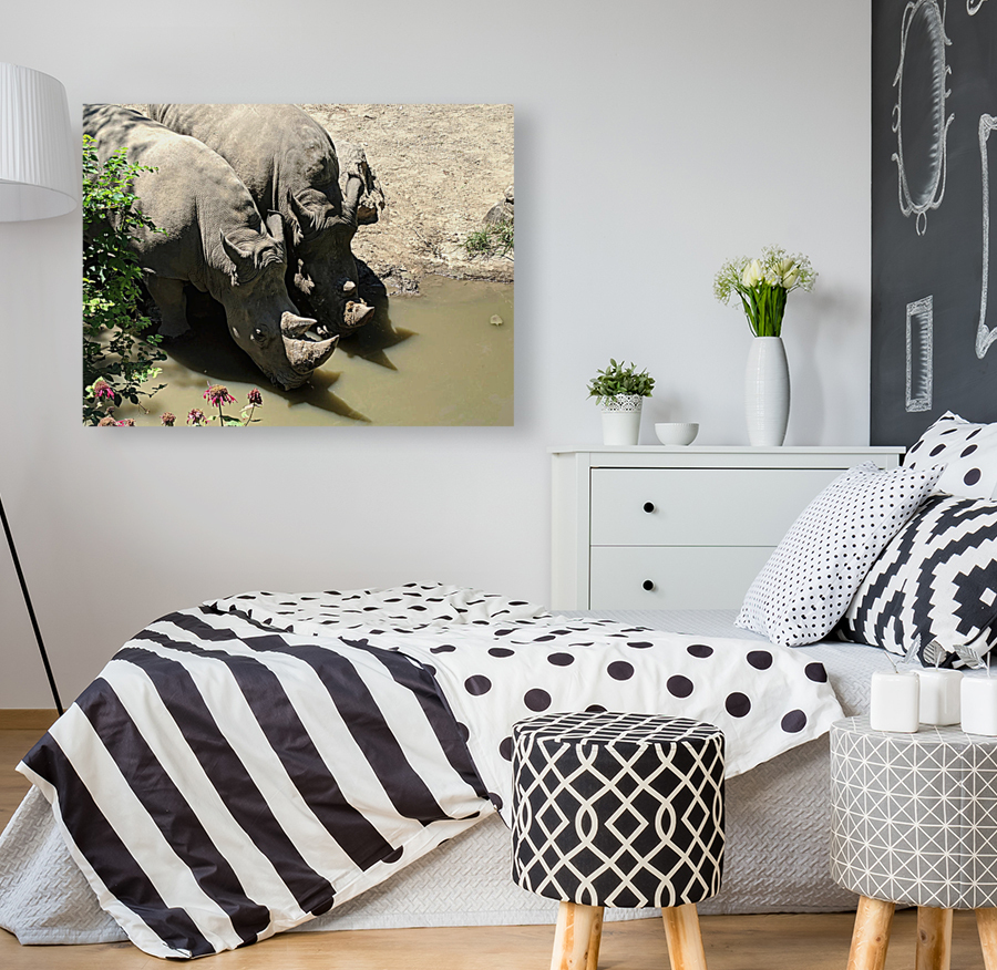 Rhino Reproduction