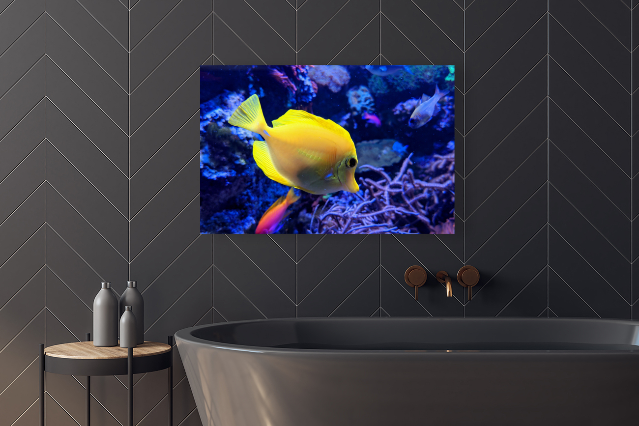 Yellow Fish Reproduction