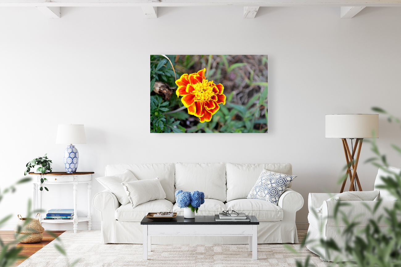 Yellow Red Flower Reproduction